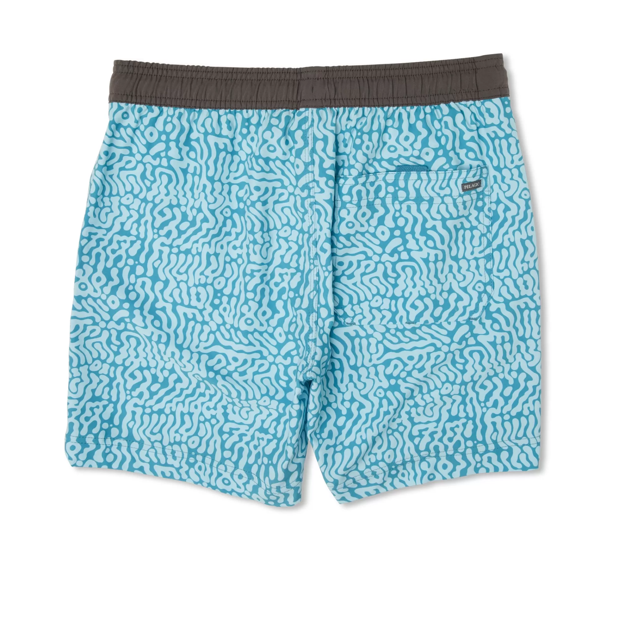 Pelagic Fishing Shorts>Youth Leiday Tahiti Blue